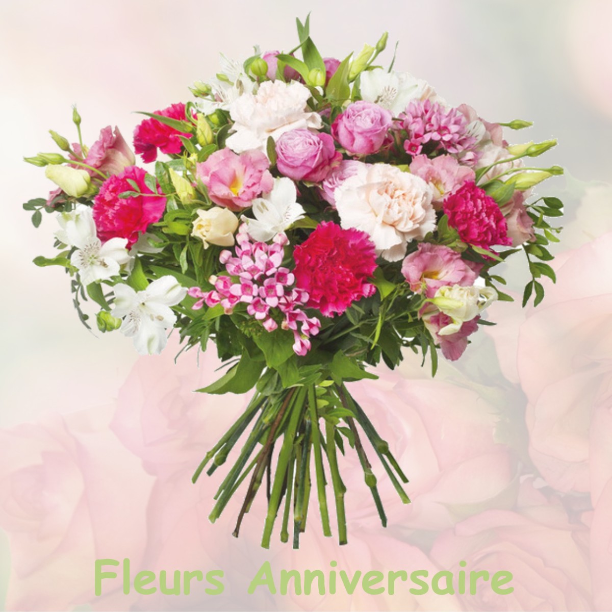 fleurs anniversaire MENETOU-SALON